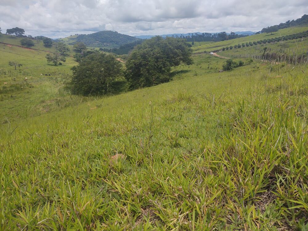 Terreno, 6 hectares - Foto 15