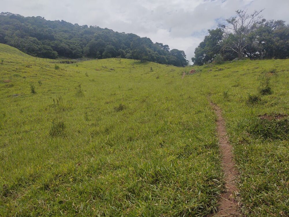 Terreno, 6 hectares - Foto 17