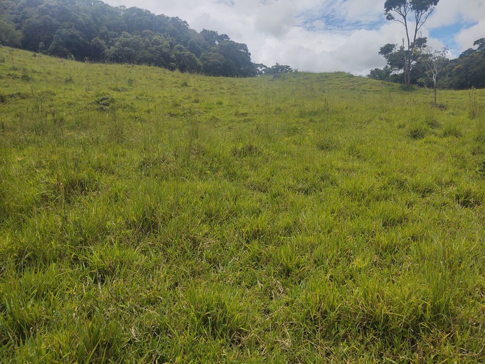 Terreno, 6 hectares - Foto 16