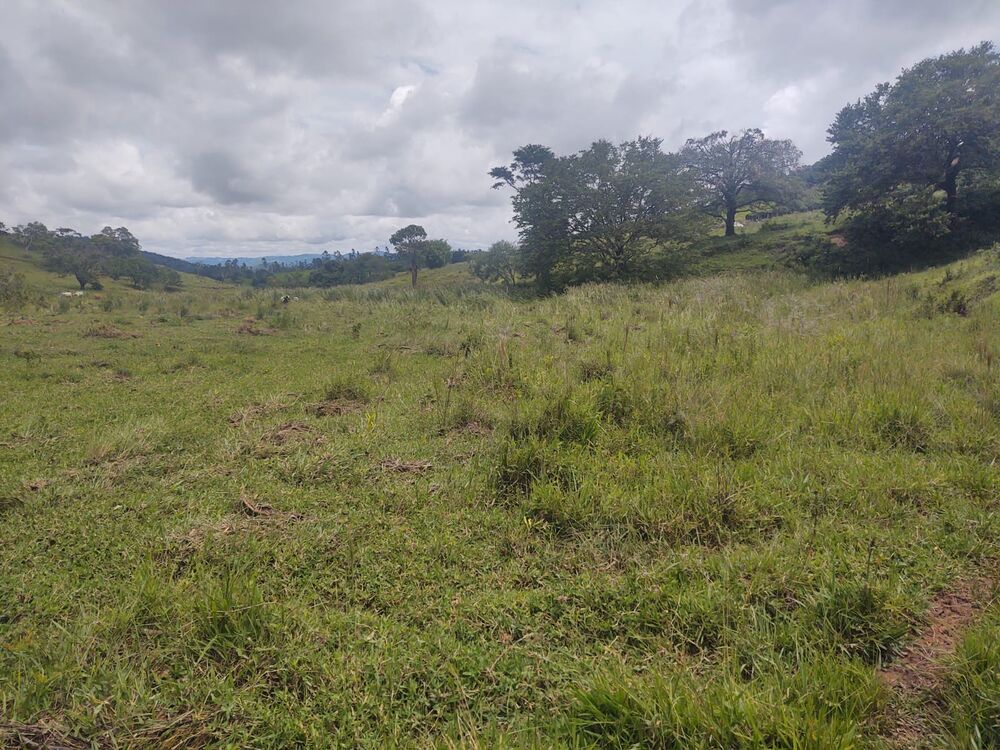 Terreno, 6 hectares - Foto 4