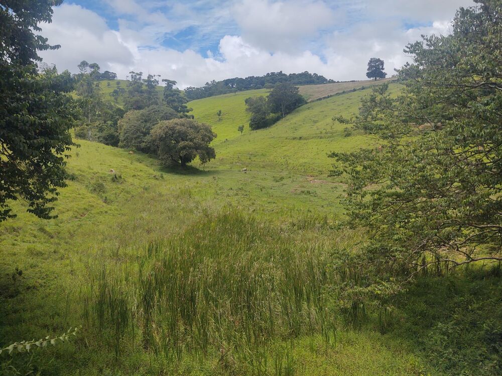 Terreno, 6 hectares - Foto 8