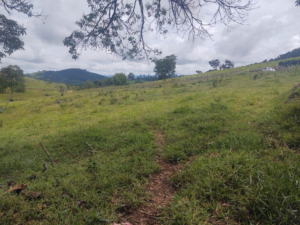 Terreno, 6 hectares - Foto 3