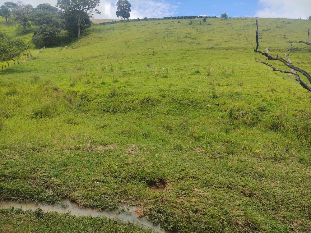 Terreno, 6 hectares - Foto 20