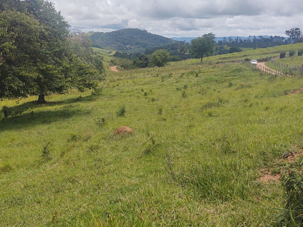 Terreno, 6 hectares - Foto 12