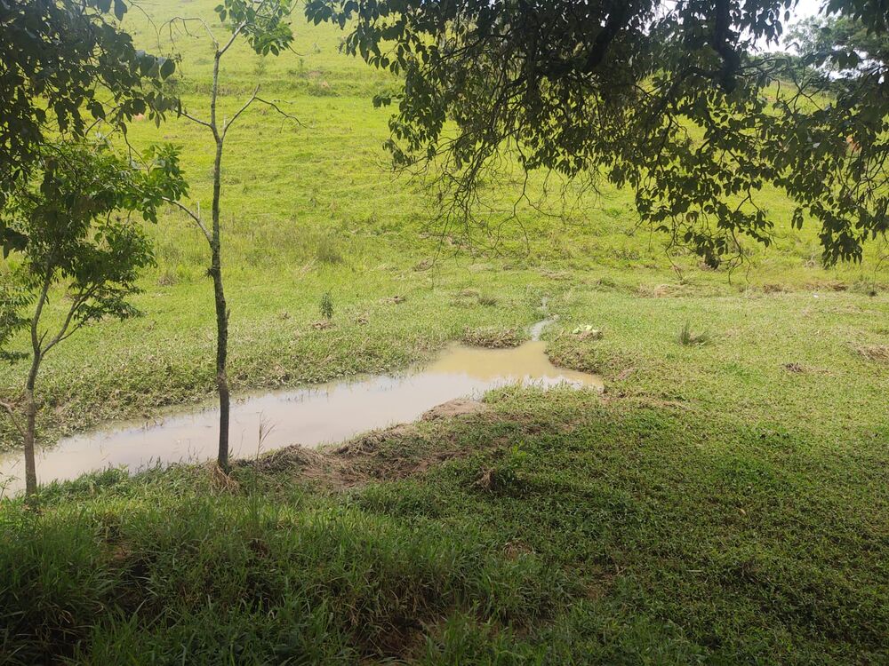 Terreno, 6 hectares - Foto 1