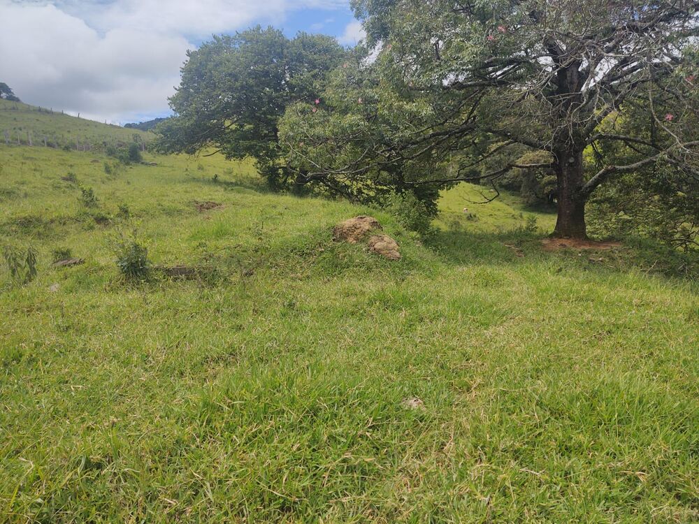 Terreno, 6 hectares - Foto 19