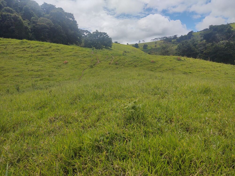 Terreno, 6 hectares - Foto 6