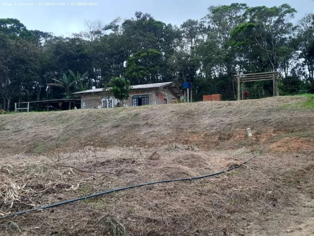 Chácara, 2 quartos, 8000 m² - Foto 3