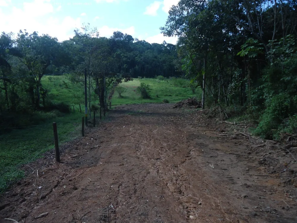 Chácara, 4 quartos, 2 hectares - Foto 2
