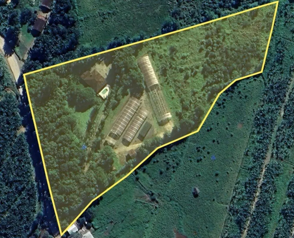 Chácara, 4 quartos, 2 hectares - Foto 4