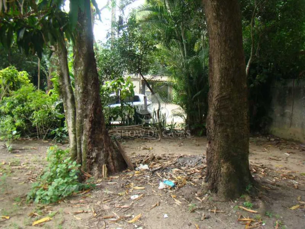 Chácara, 4 quartos - Foto 9