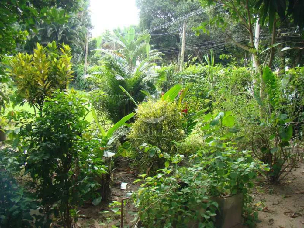 Chácara, 4 quartos - Foto 3