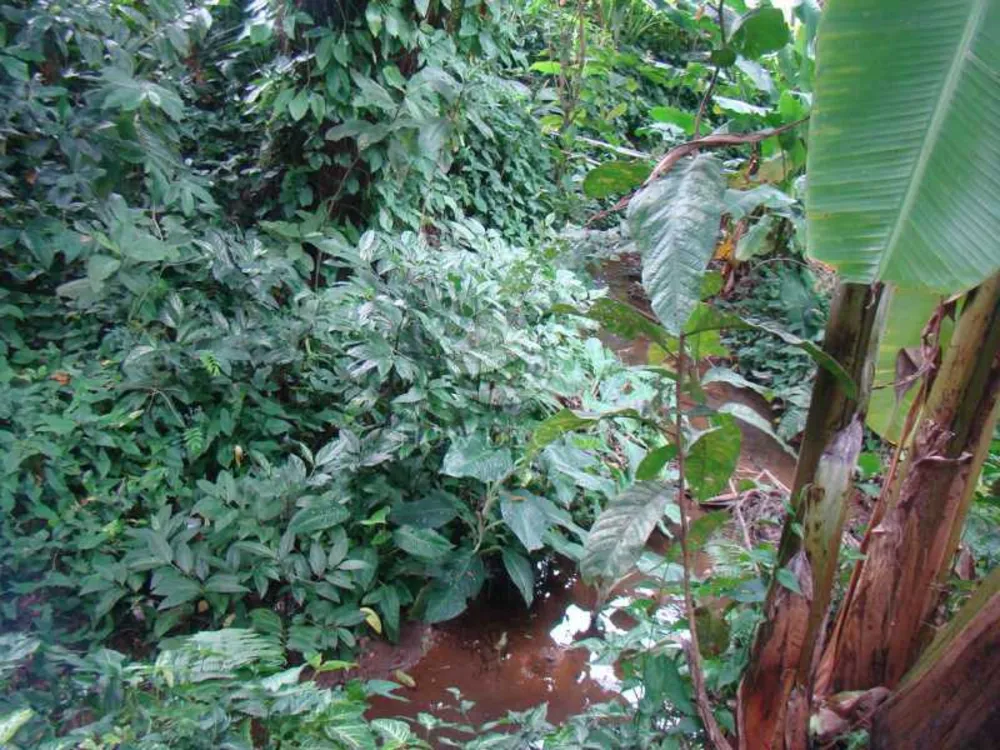 Chácara, 4 quartos - Foto 19