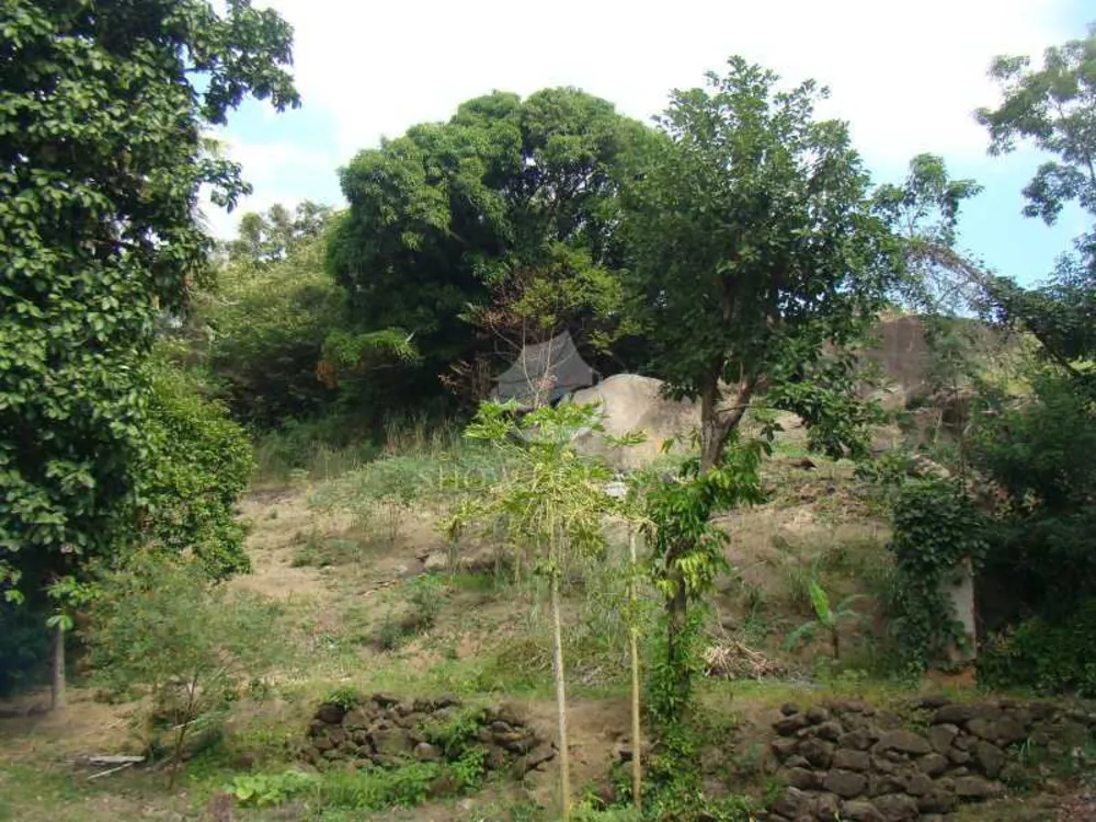 Chácara, 4 quartos - Foto 13