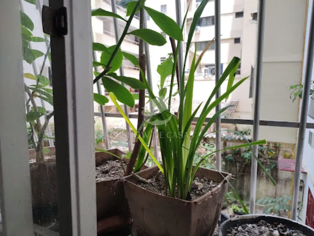 Apartamento, 3 quartos, 170 m² - Foto 2