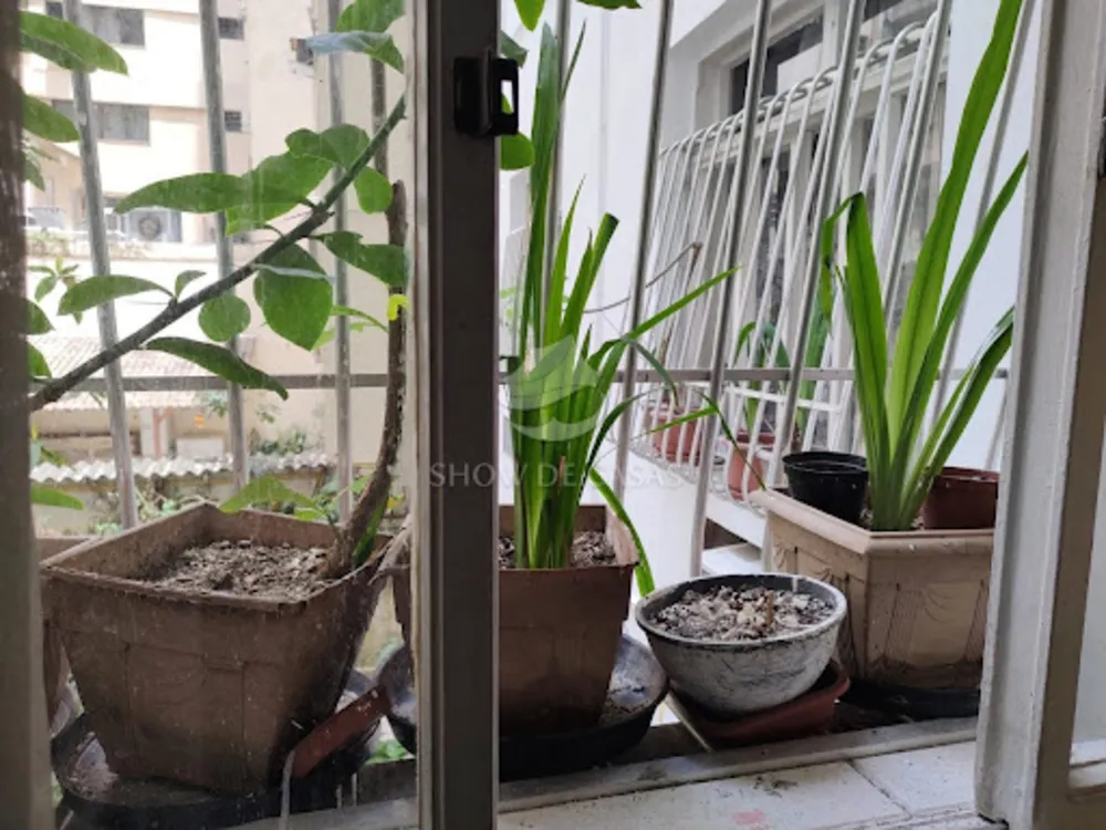 Apartamento, 3 quartos, 170 m² - Foto 26