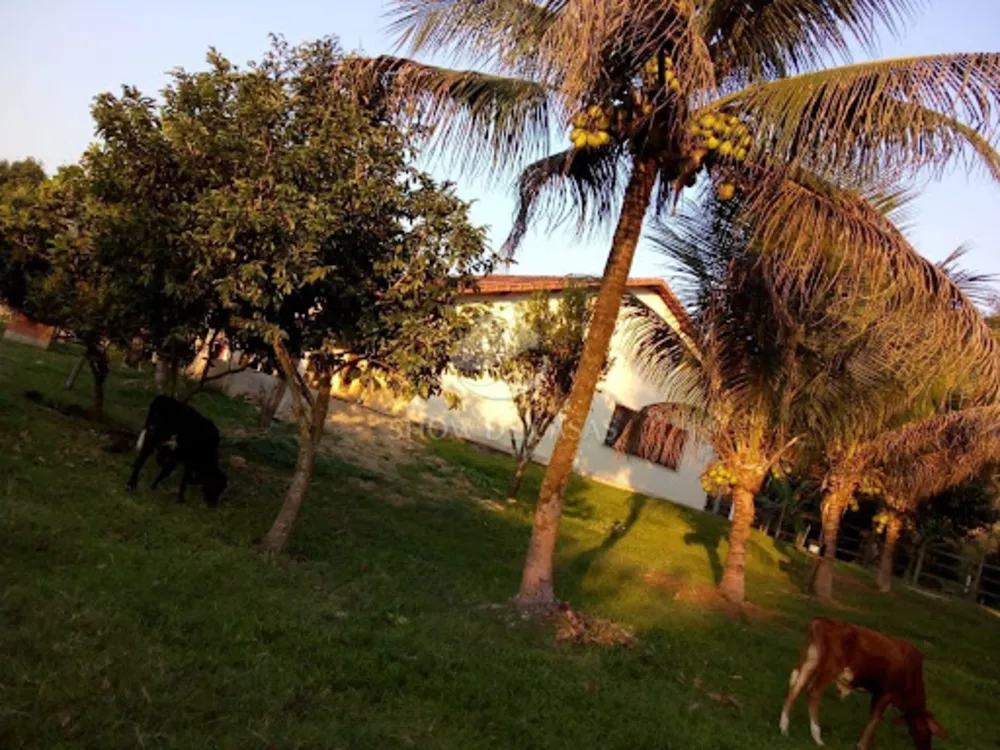 Sítio, 3 quartos, 4 hectares - Foto 8