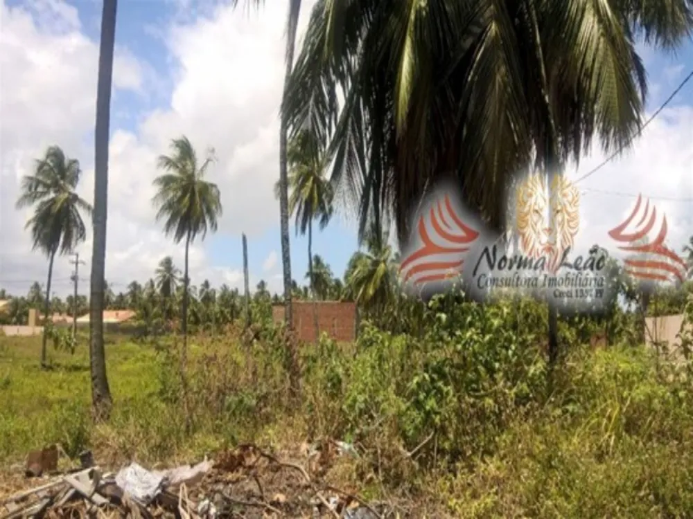 Terreno, 300 m² - Foto 5