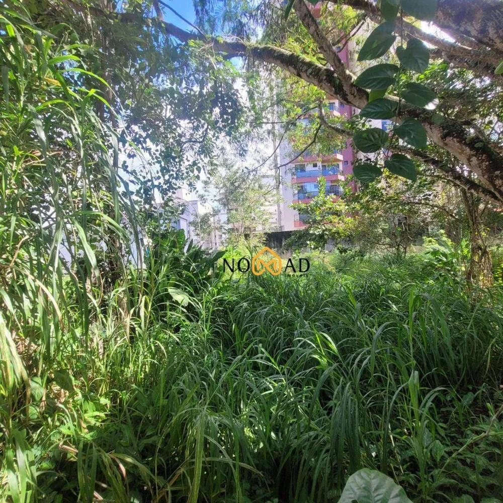 Terreno, 1122 m² - Foto 3