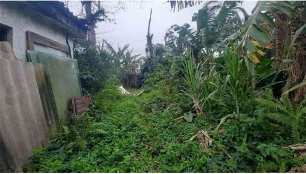 Terreno, 360 m² - Foto 6