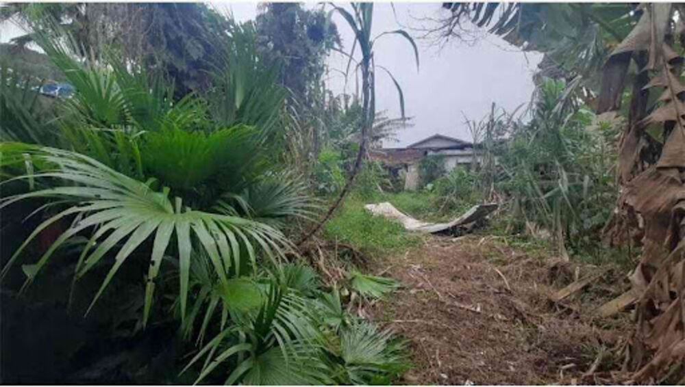 Terreno, 360 m² - Foto 7