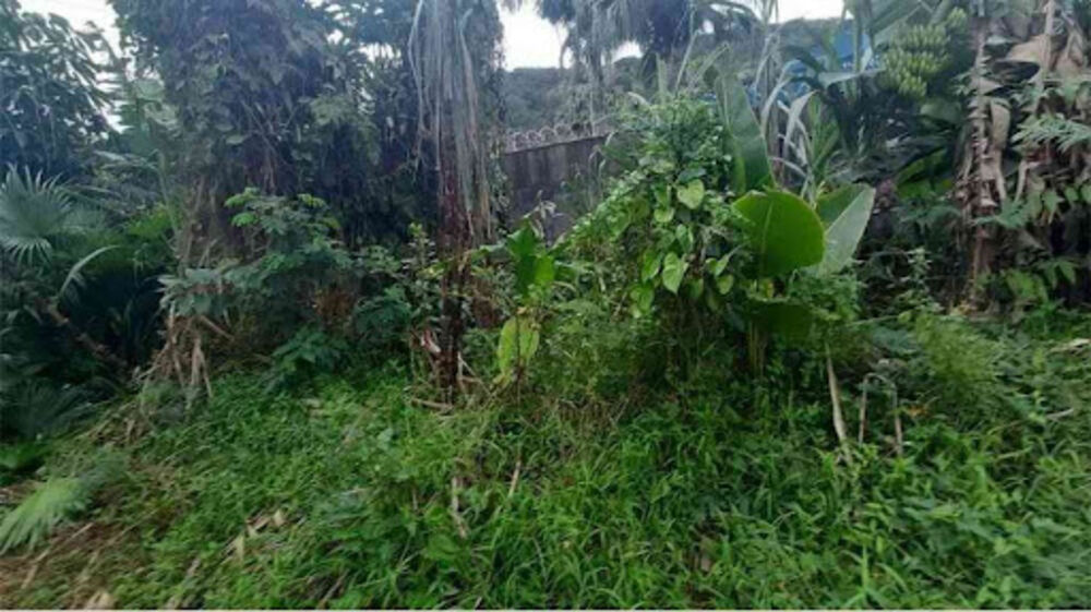 Terreno, 360 m² - Foto 5