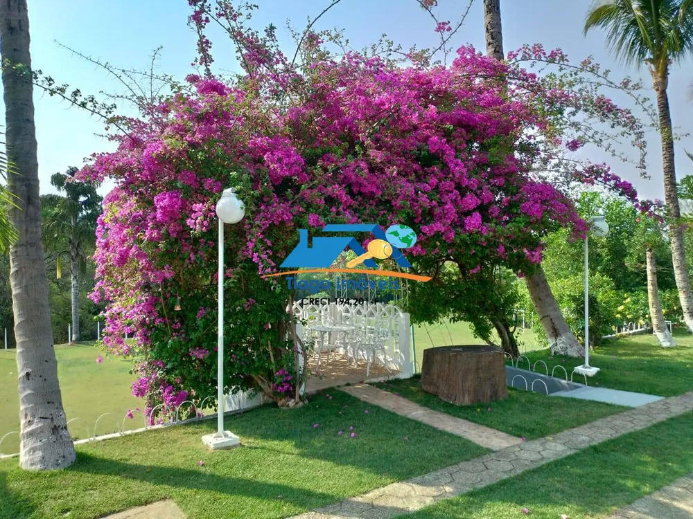 Sítio, 10 quartos, 3 hectares - Foto 8