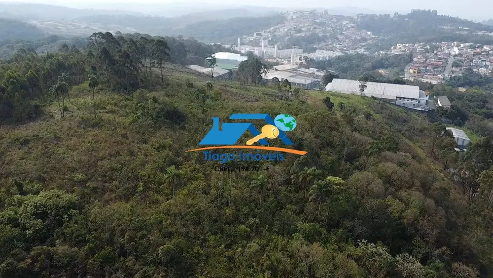 Terreno, 6 hectares - Foto 3