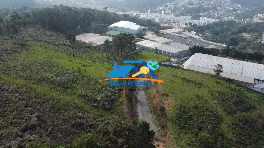 Terreno, 6 hectares - Foto 7