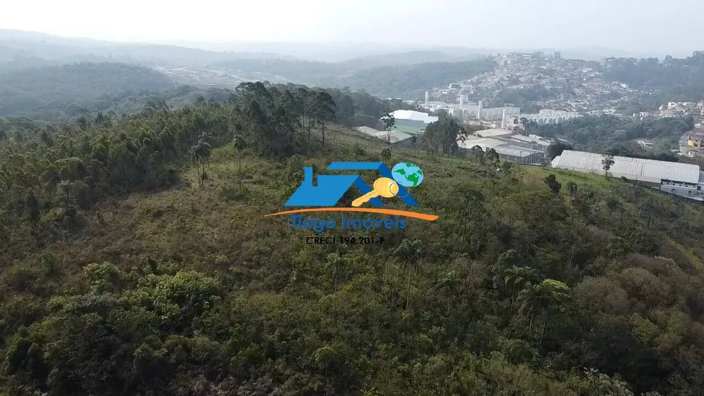 Terreno, 6 hectares - Foto 4