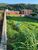 Terreno, 528 m² - Foto 3