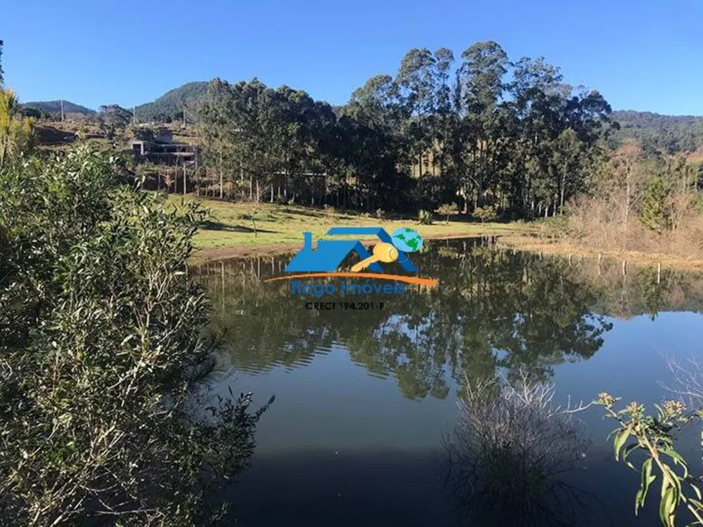 Casa, 5 quartos, 82600 m² - Foto 3