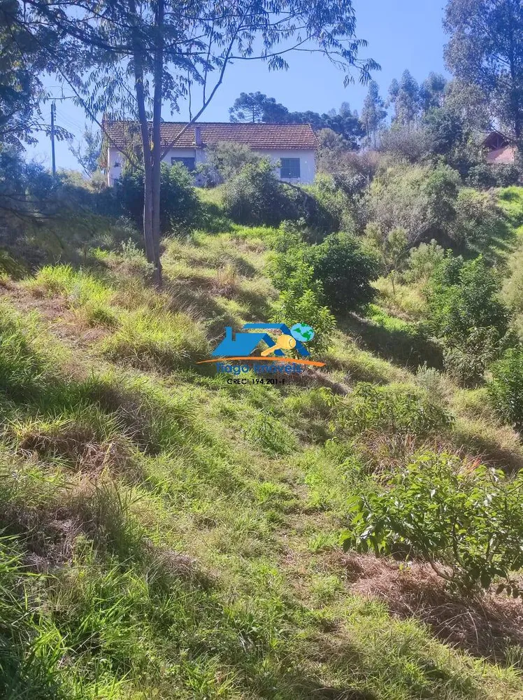 Casa, 5 quartos, 82600 m² - Foto 10