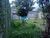 Sobrado, 1 quarto, 250 m² - Foto 1