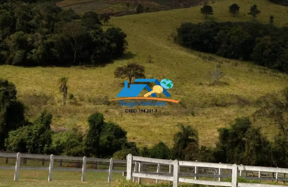 Sítio, 4 quartos, 5 hectares - Foto 3