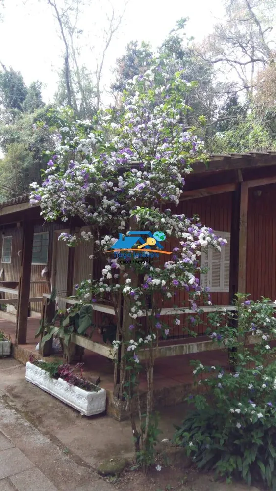 Sítio, 3 quartos, 5 hectares - Foto 4