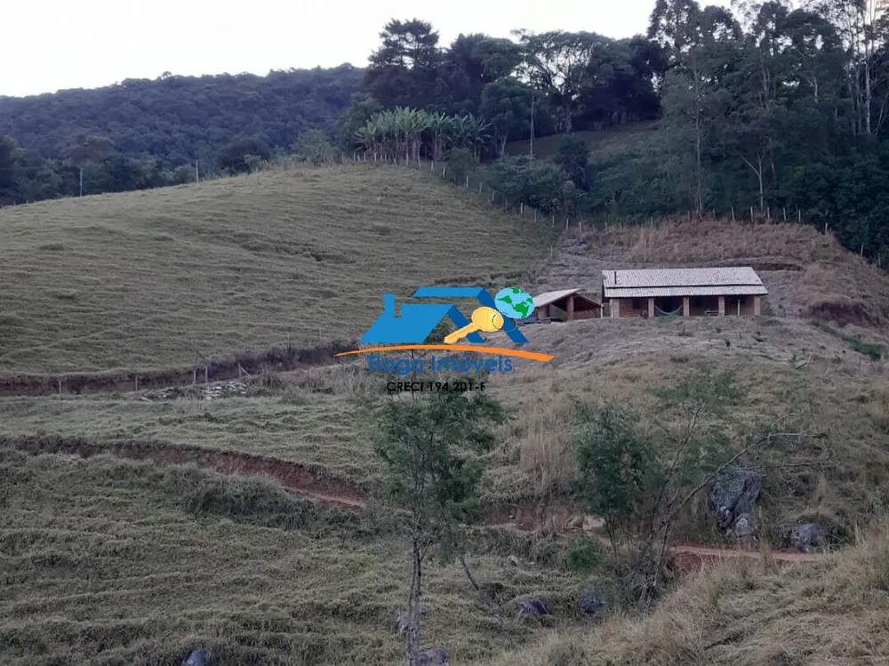 Sítio, 3 quartos, 4 hectares - Foto 6