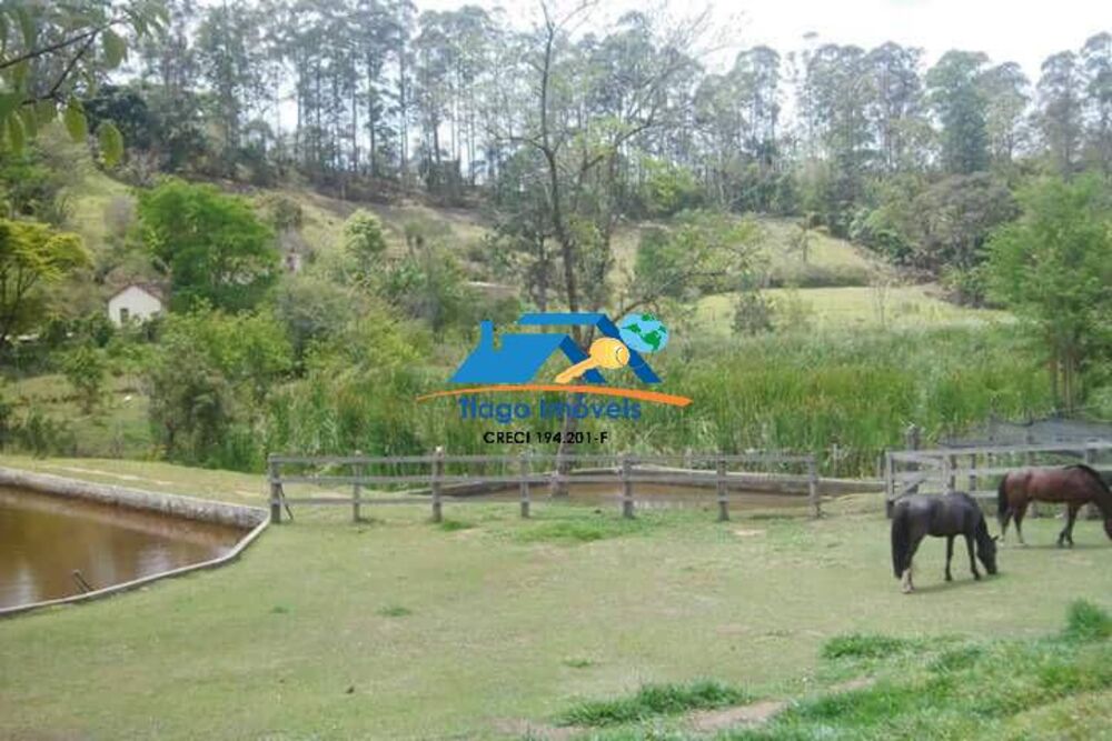 Chácara à venda com 4 quartos, 10000m² - Foto 3