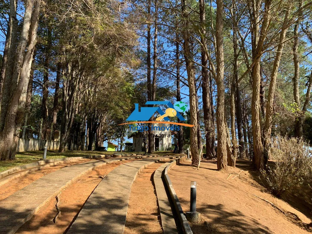 Chácara, 10 quartos, 8400 m² - Foto 5