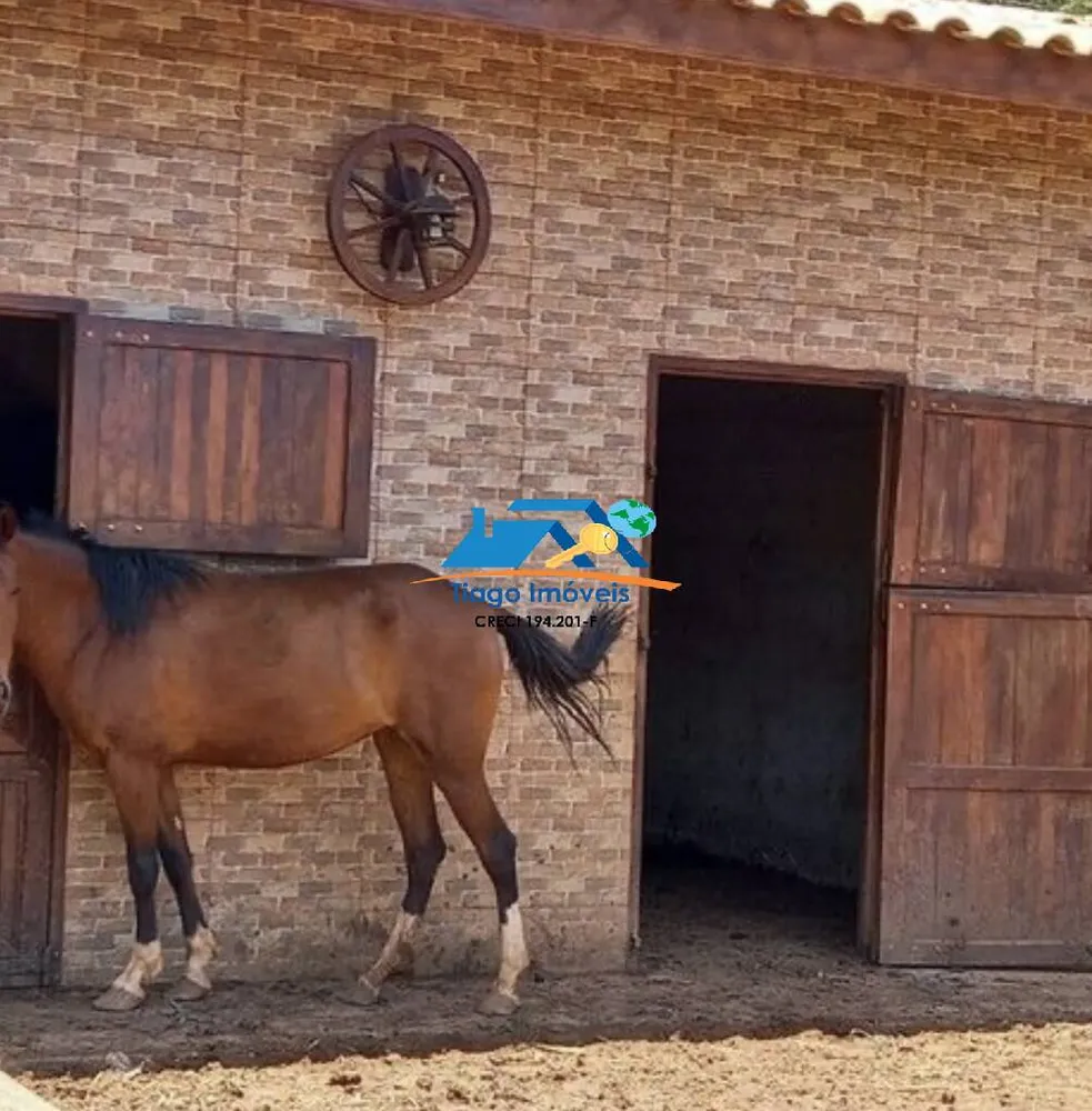 Chácara, 4 quartos, 5664 m² - Foto 8