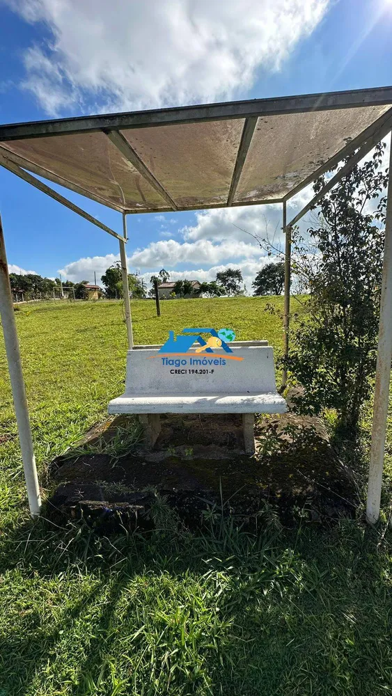 Casa, 5 quartos, 24000 m² - Foto 5