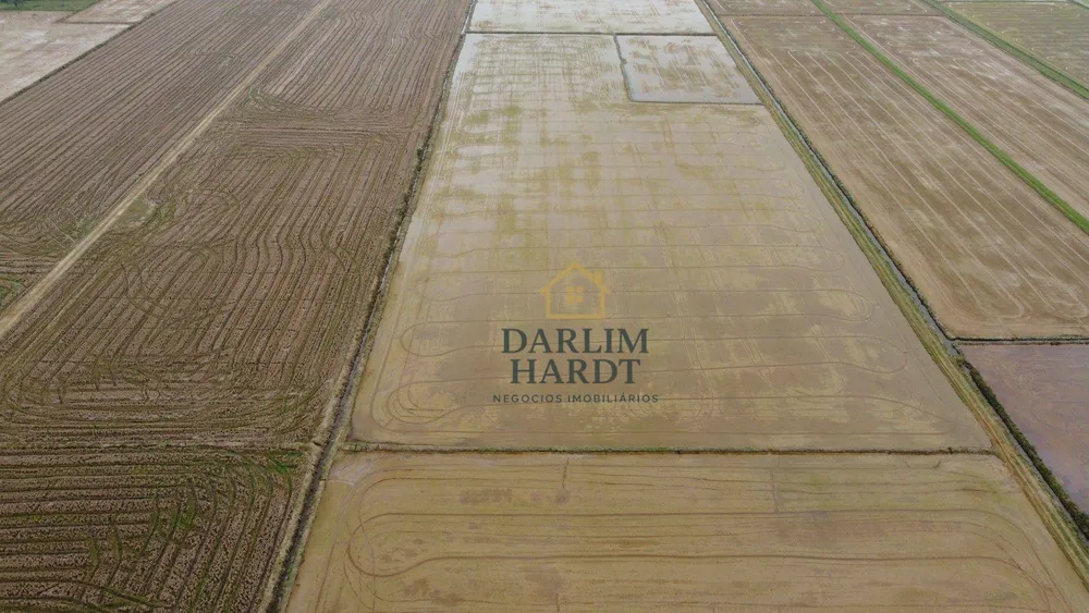 Terreno, 22 hectares - Foto 10