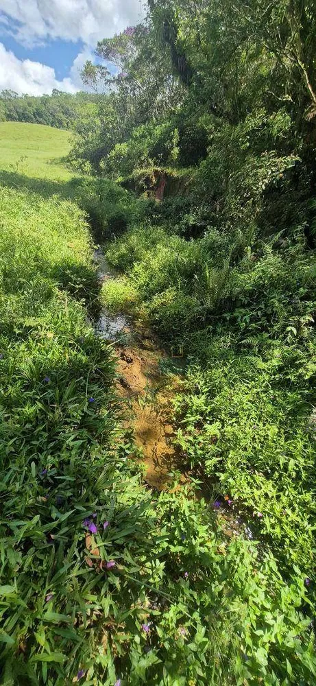Terreno, 4 hectares - Foto 4