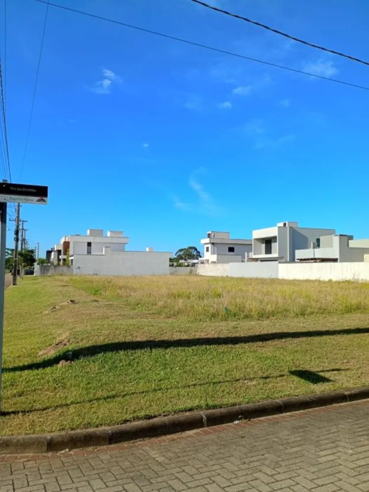 Terreno, 309 m² - Foto 3