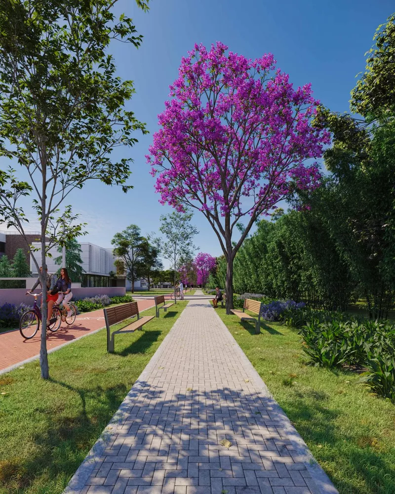 Terreno, 300 m² - Foto 2