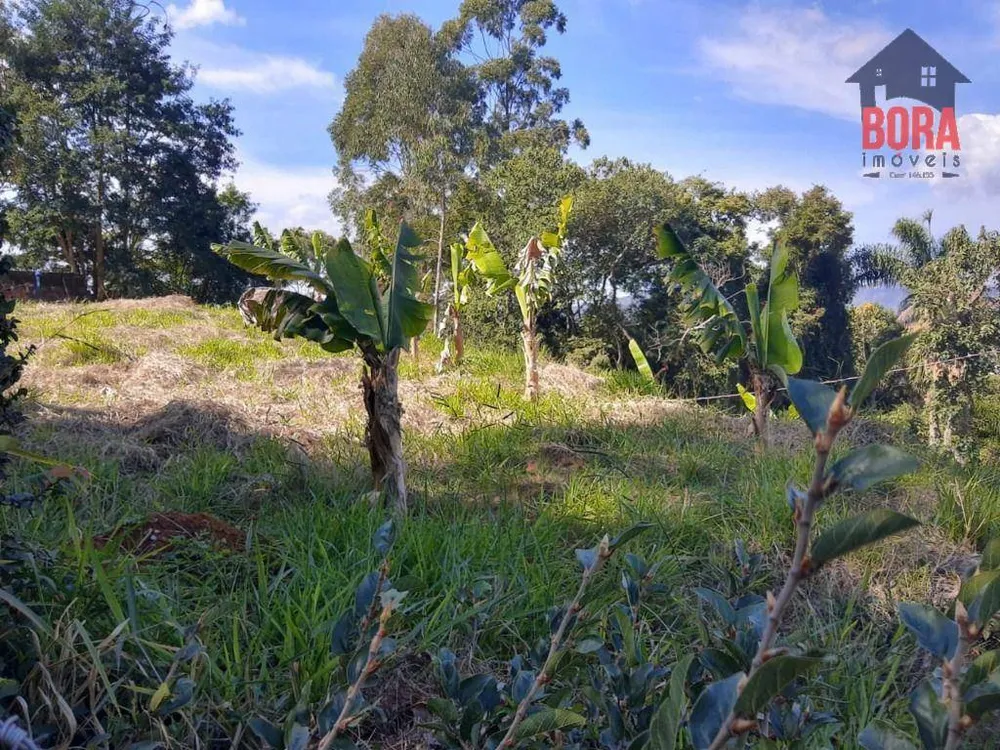 Terreno, 566 m² - Foto 3