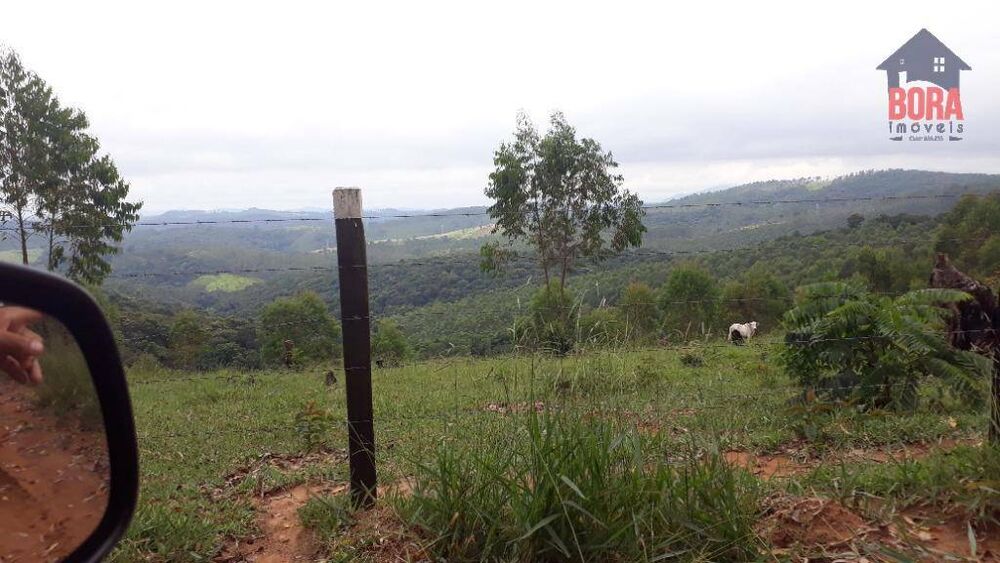Terreno, 50 hectares - Foto 8