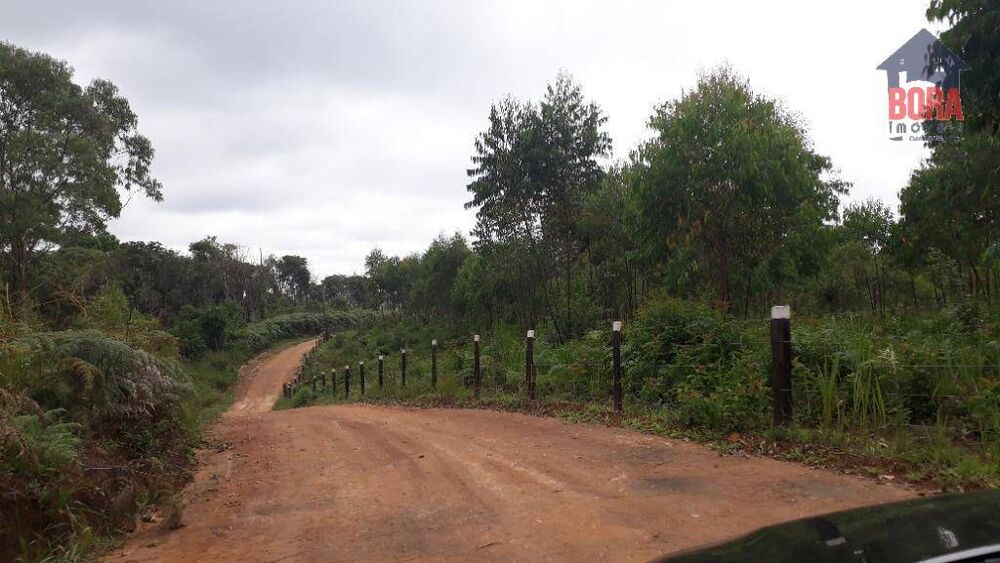 Terreno, 50 hectares - Foto 1