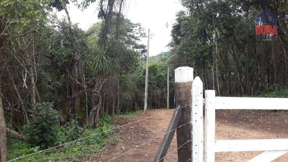 Terreno, 50 hectares - Foto 7