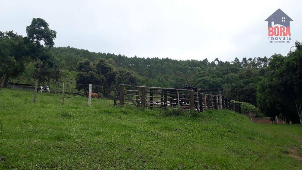 Terreno, 50 hectares - Foto 4